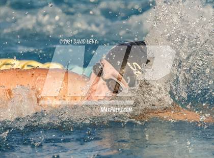 Thumbnail 2 in AIA D1 Swim Finals  photogallery.