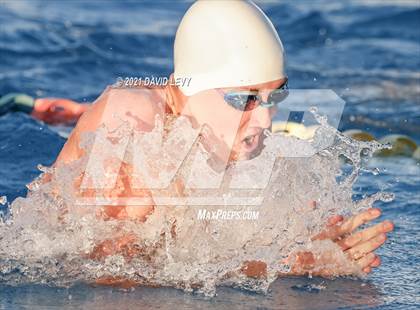 Thumbnail 2 in AIA D1 Swim Finals  photogallery.