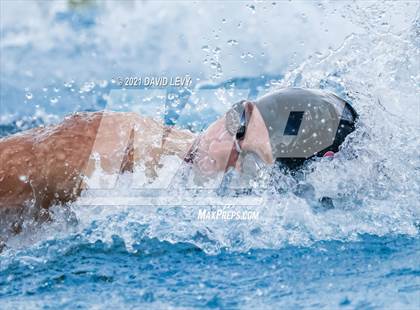 Thumbnail 1 in AIA D1 Swim Finals  photogallery.