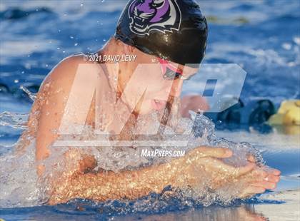 Thumbnail 2 in AIA D1 Swim Finals  photogallery.
