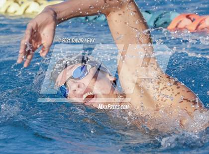 Thumbnail 3 in AIA D1 Swim Finals  photogallery.