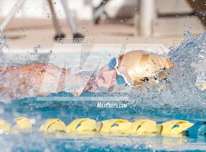 Thumbnail 2 in AIA D1 Swim Finals  photogallery.