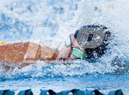 Thumbnail 3 in AIA D1 Swim Finals  photogallery.