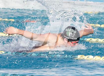 Thumbnail 1 in AIA D1 Swim Finals  photogallery.