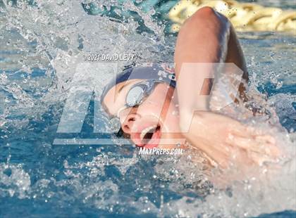 Thumbnail 1 in AIA D1 Swim Finals  photogallery.