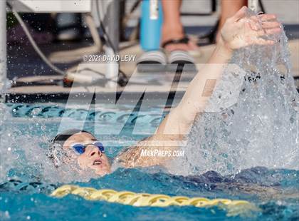 Thumbnail 3 in AIA D1 Swim Finals  photogallery.