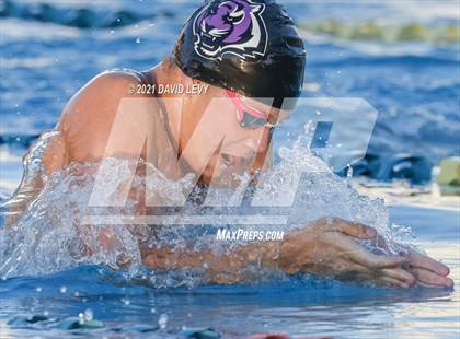 Thumbnail 3 in AIA D1 Swim Finals  photogallery.