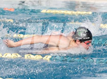 Thumbnail 2 in AIA D1 Swim Finals  photogallery.
