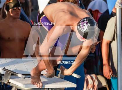 Thumbnail 1 in AIA D1 Swim Finals  photogallery.
