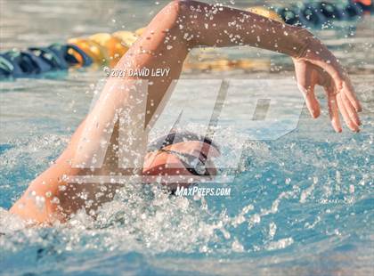 Thumbnail 3 in AIA D1 Swim Finals  photogallery.