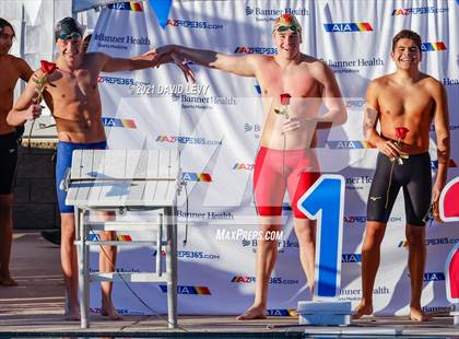 Thumbnail 1 in AIA D1 Swim Finals  photogallery.