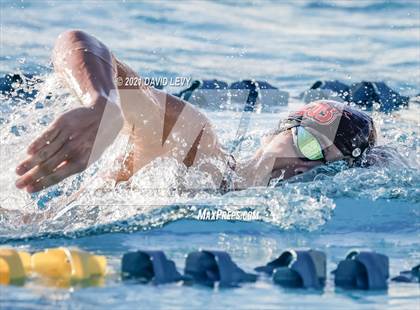 Thumbnail 3 in AIA D1 Swim Finals  photogallery.