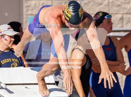 Thumbnail 2 in AIA D1 Swim Finals  photogallery.