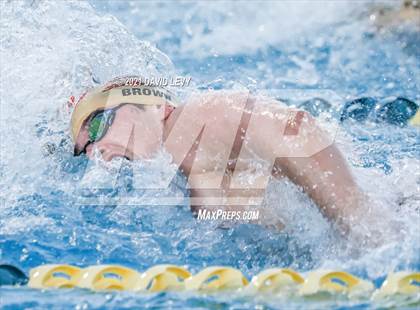 Thumbnail 3 in AIA D1 Swim Finals  photogallery.