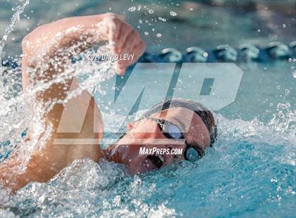 Thumbnail 1 in AIA D1 Swim Finals  photogallery.