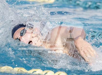 Thumbnail 2 in AIA D1 Swim Finals  photogallery.