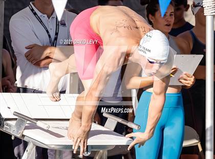Thumbnail 1 in AIA D1 Swim Finals  photogallery.