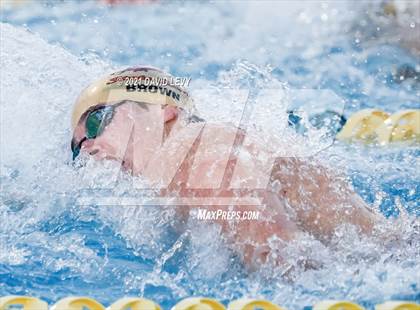 Thumbnail 2 in AIA D1 Swim Finals  photogallery.