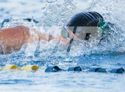 Thumbnail 2 in AIA D1 Swim Finals  photogallery.