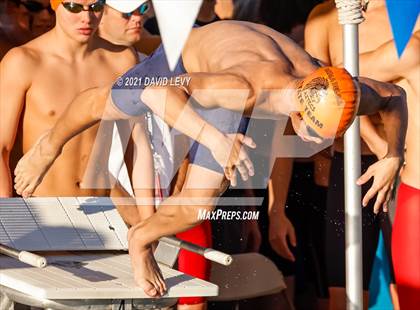 Thumbnail 3 in AIA D1 Swim Finals  photogallery.