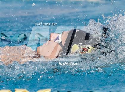 Thumbnail 2 in AIA D1 Swim Finals  photogallery.
