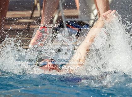 Thumbnail 3 in AIA D1 Swim Finals  photogallery.