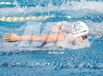 Thumbnail 3 in AIA D1 Swim Finals  photogallery.