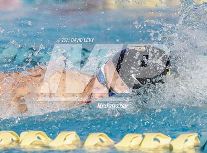 Thumbnail 2 in AIA D1 Swim Finals  photogallery.