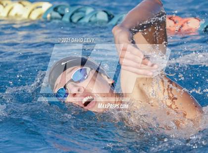 Thumbnail 2 in AIA D1 Swim Finals  photogallery.