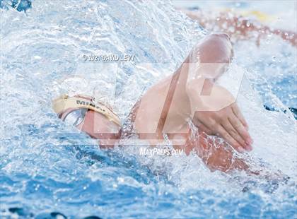 Thumbnail 1 in AIA D1 Swim Finals  photogallery.