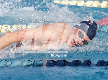 Thumbnail 1 in AIA D1 Swim Finals  photogallery.