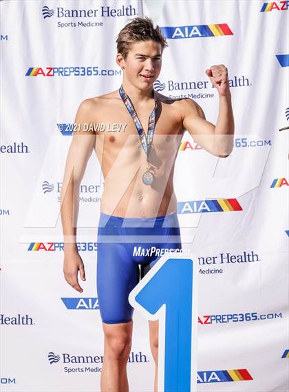 Thumbnail 3 in AIA D1 Swim Finals  photogallery.