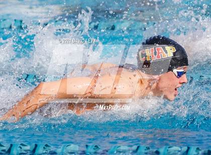 Thumbnail 3 in AIA D1 Swim Finals  photogallery.