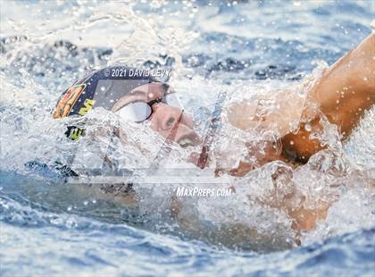 Thumbnail 2 in AIA D1 Swim Finals  photogallery.