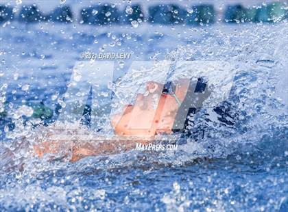 Thumbnail 1 in AIA D1 Swim Finals  photogallery.
