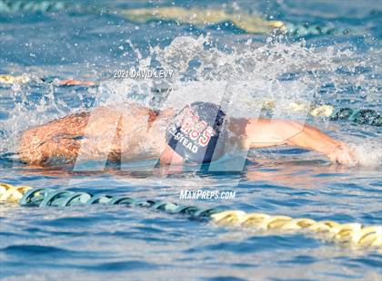 Thumbnail 2 in AIA D1 Swim Finals  photogallery.