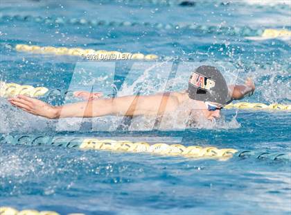 Thumbnail 3 in AIA D1 Swim Finals  photogallery.