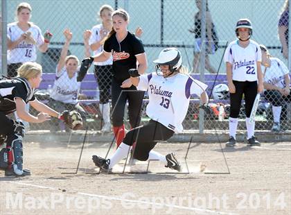 Thumbnail 1 in El Molino @ Petaluma photogallery.