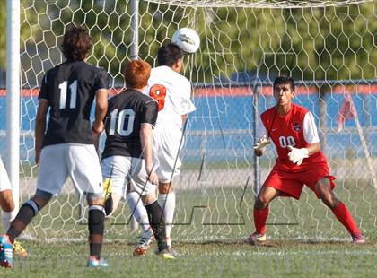Thumbnail 3 in Plainfield East @ Oswego photogallery.