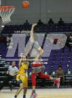 Photo from the gallery "Lehigh vs. Jonesboro (City of Palms Classic)"