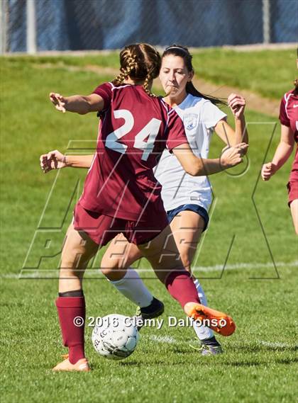 Thumbnail 1 in Chatfield @ Columbine photogallery.