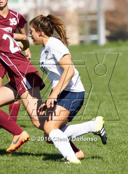 Thumbnail 1 in Chatfield @ Columbine photogallery.