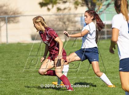 Thumbnail 1 in Chatfield @ Columbine photogallery.