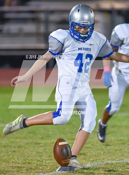 Thumbnail 3 in Mesquite @ Marcos de Niza photogallery.