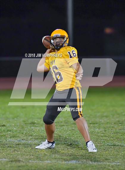 Thumbnail 1 in Mesquite @ Marcos de Niza photogallery.