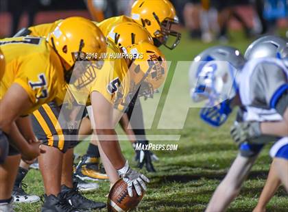Thumbnail 1 in Mesquite @ Marcos de Niza photogallery.