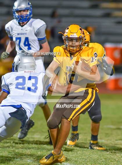Thumbnail 3 in Mesquite @ Marcos de Niza photogallery.