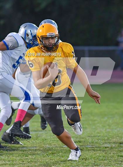 Thumbnail 3 in Mesquite @ Marcos de Niza photogallery.