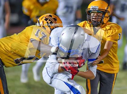 Thumbnail 2 in Mesquite @ Marcos de Niza photogallery.