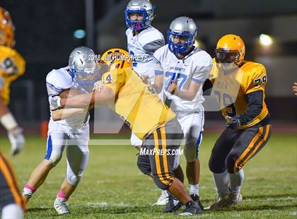 Thumbnail 1 in Mesquite @ Marcos de Niza photogallery.